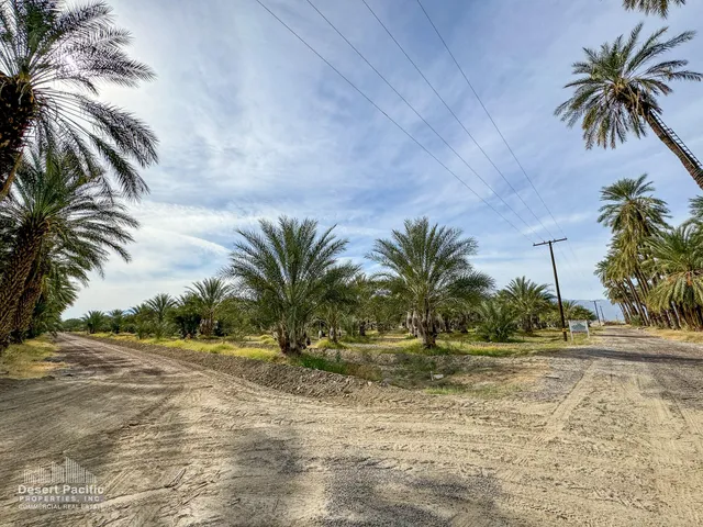 a view of a yard with a house