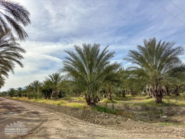 a view of swimming pool