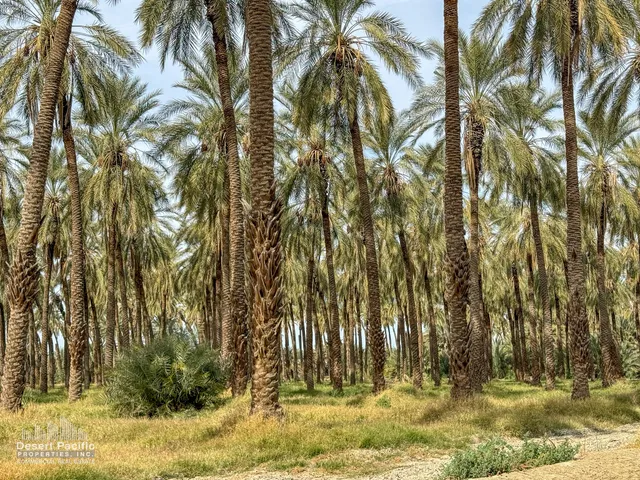 $1,288,200 | 0 Ave 63 & W Pierce Street, Thermal, CA 92274