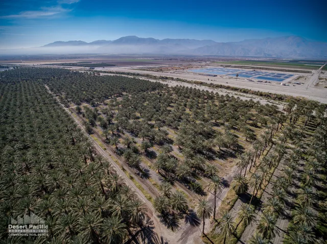 a view of a city with ocean view