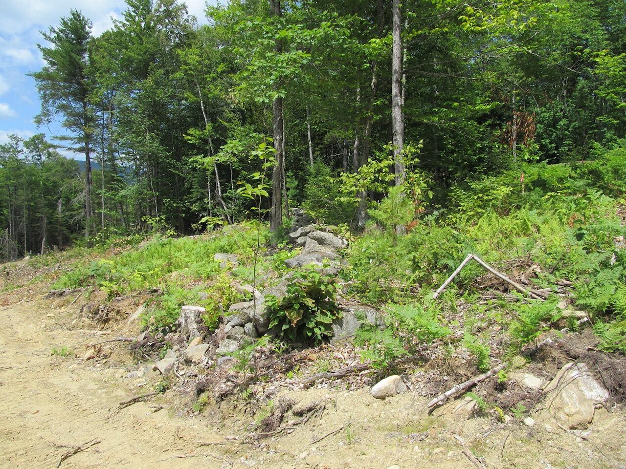 37-2 Brown Neighborhood Road Weld, ME 04285 - Photo 9 of 27