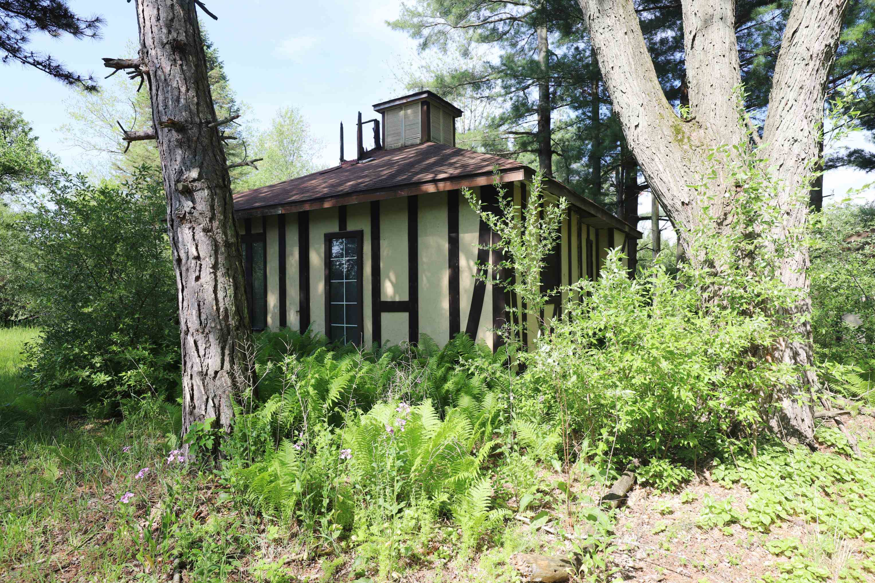 12215 Lillie Road Byron, MI 48418 - Photo 11 of 38