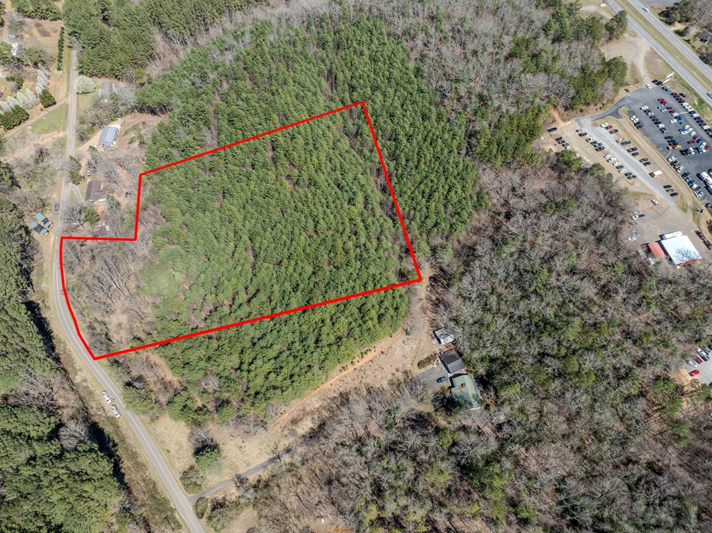 8-acres Old Murphy Road Murphy, NC 28906 - Photo 3 of 10