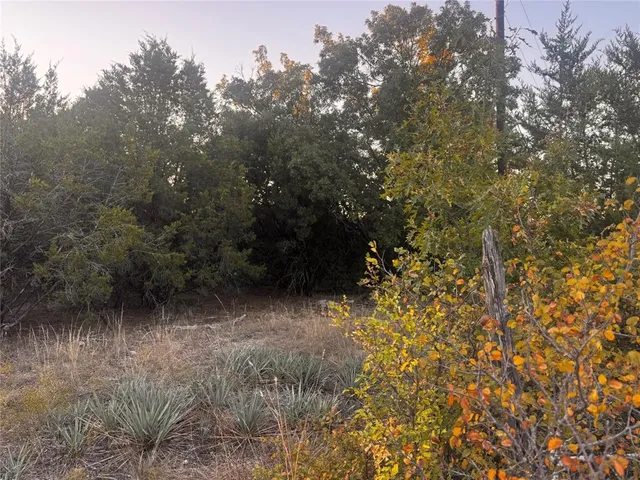 a view of a yard with plants and trees