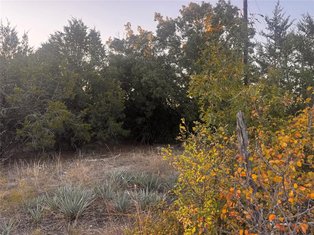 412 Skyview Lane Azle, TX 76020 - Photo 3 of 3 a view of a yard with plants and trees