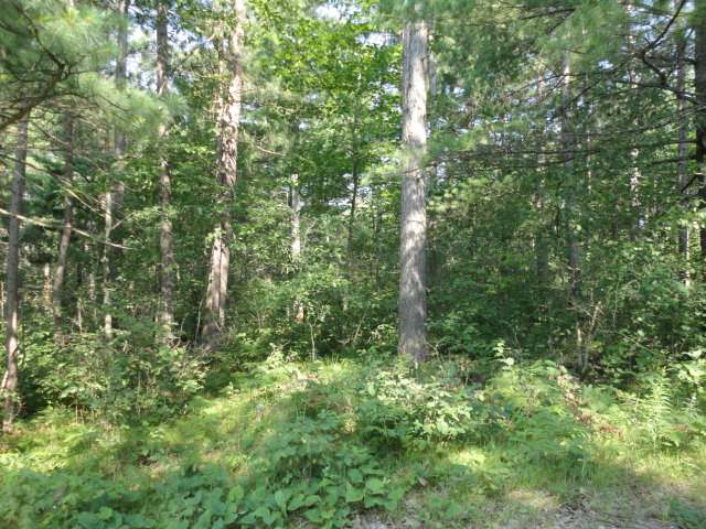 Parcel A North Farming Road Woodruff, WI 54568 - Photo 3 of 5 Gallery Image 3