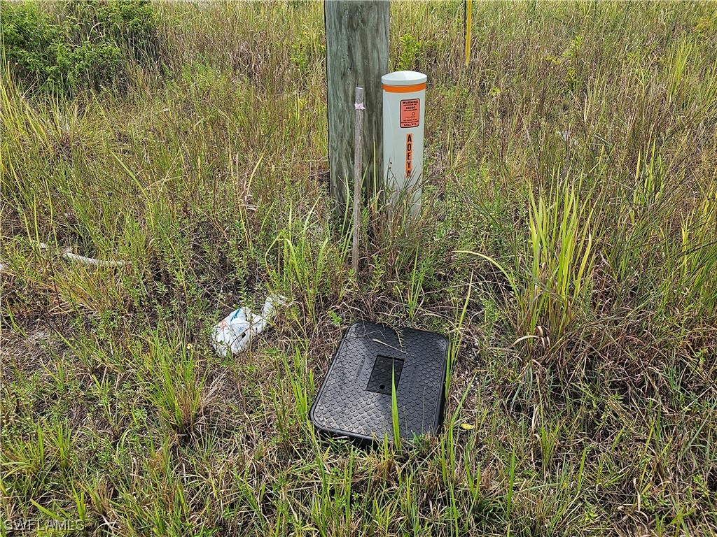 Undisclosed Address LaBelle, FL 33935 - Photo 6 of 14 a view of a wall with plants and brick wall