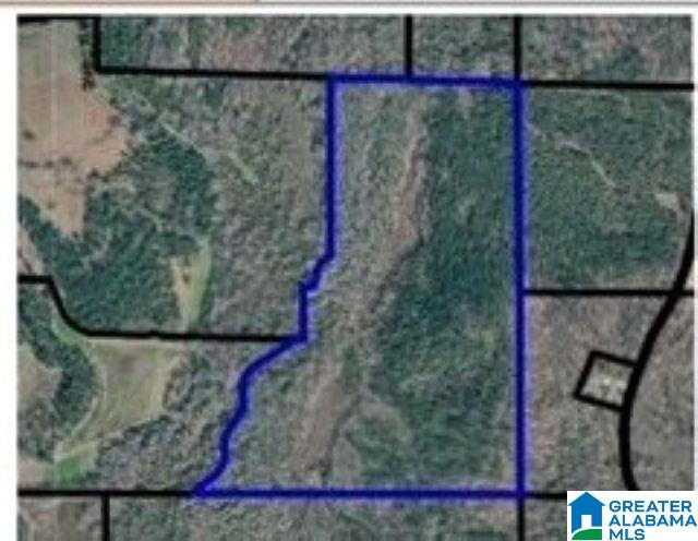 0 Friendship Road, Unit 401001020000006 0000 Vernon, AL 35592 - Photo 1 of 1