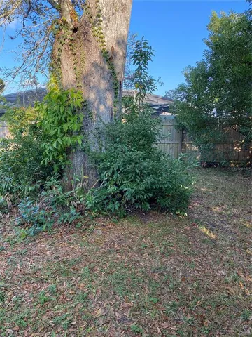 a view of a back yard