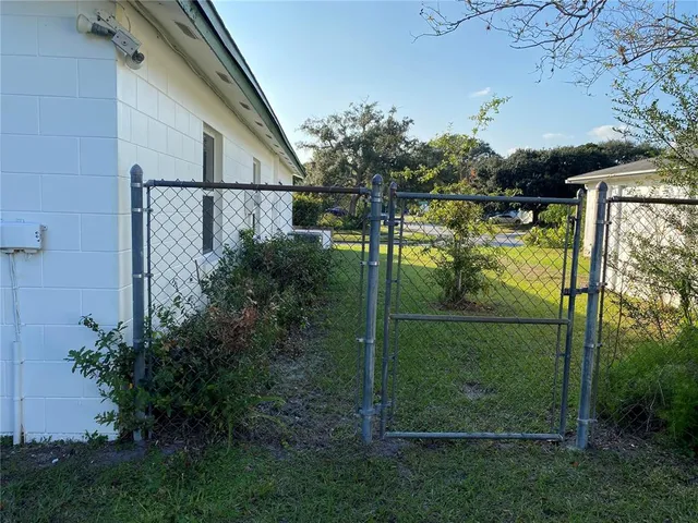 a view of a backyard with plants and a tree