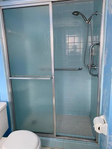 a bathroom with a shower and a toilet