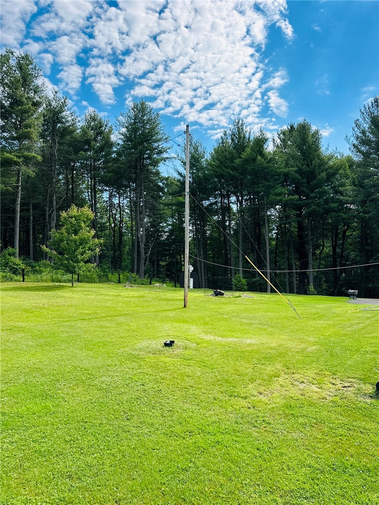 385 Lyon Road Bainbridge, NY 13733 - Photo 10 of 25