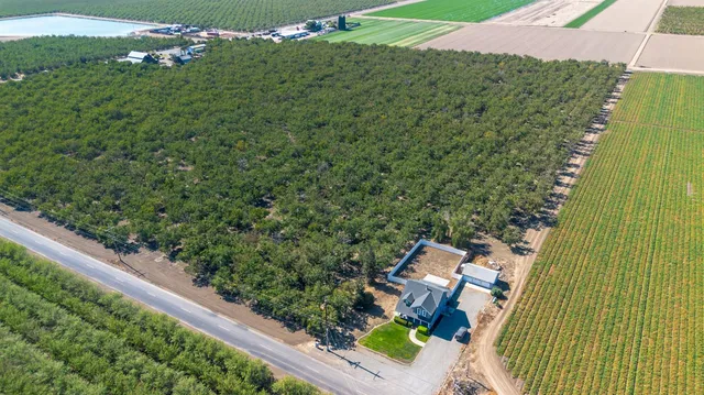 a view of a yard with potted plants