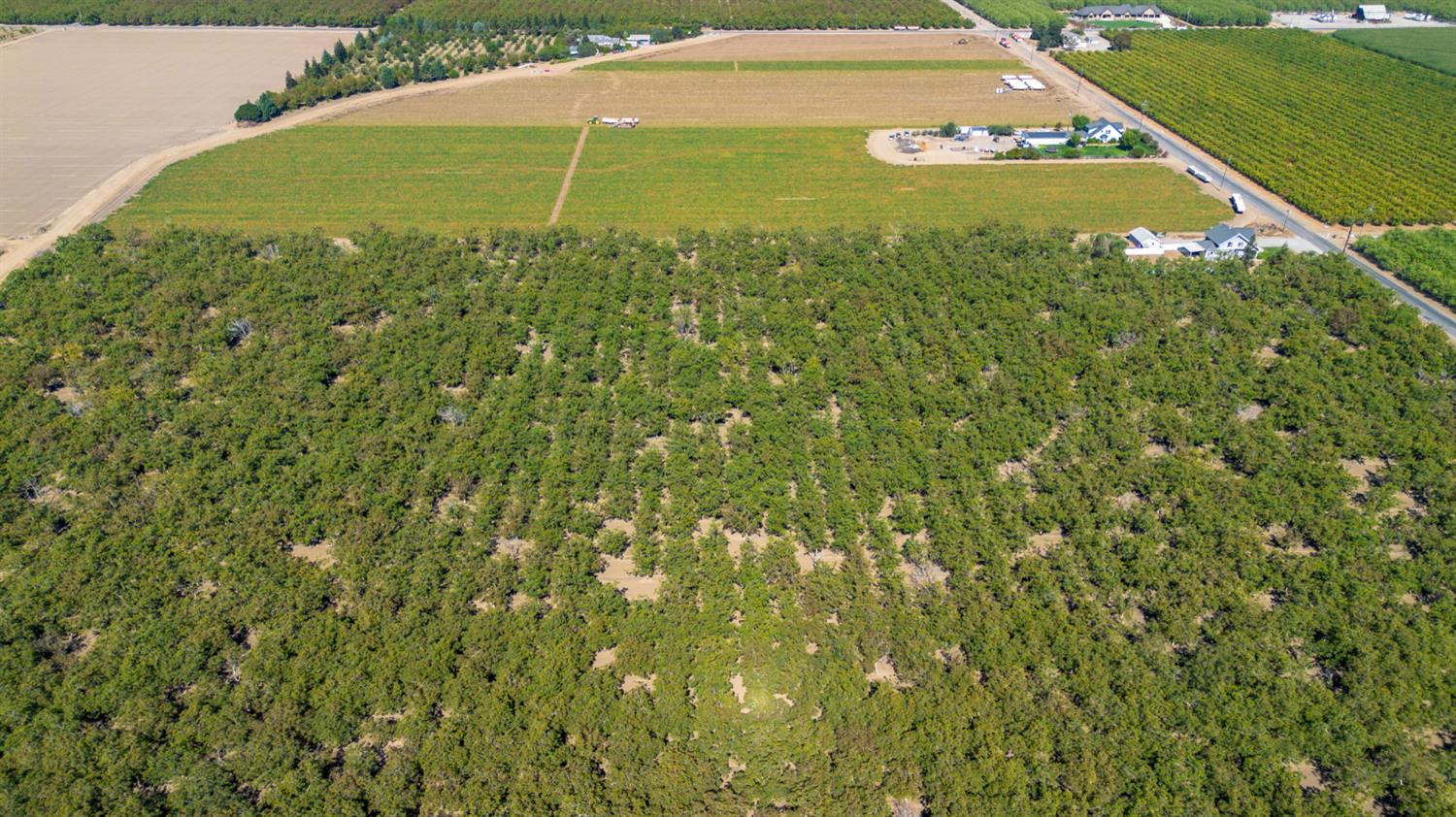 12407 Elm Avenue Patterson, CA 95363 - Photo 38 of 43 a view of a outdoor space