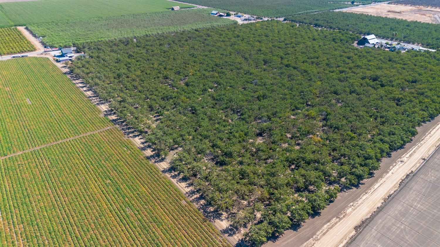 12407 Elm Avenue Patterson, CA 95363 - Photo 41 of 43 a view of a yard