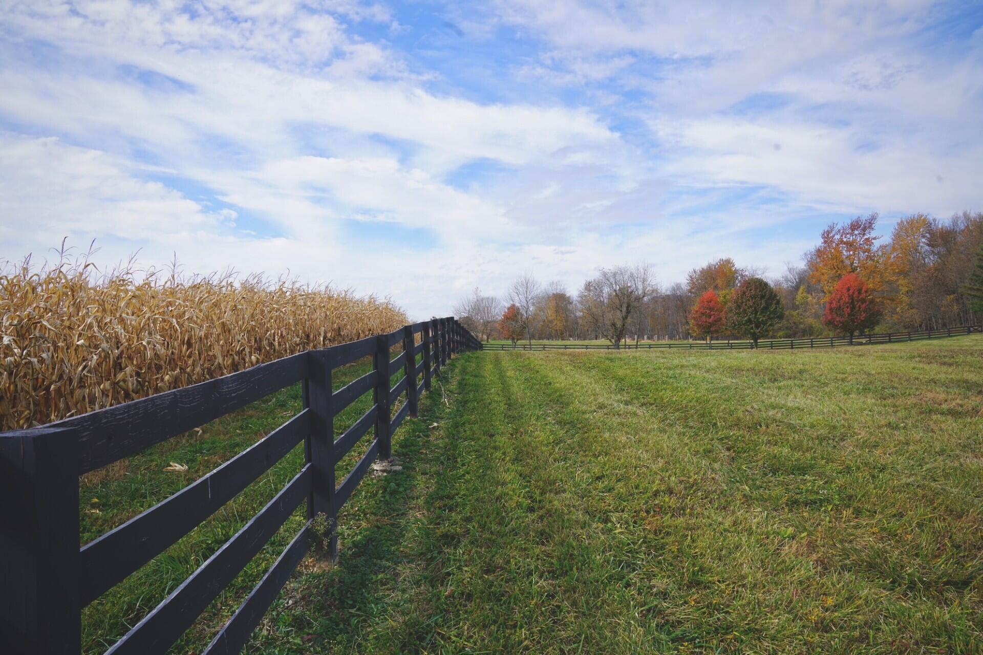 4056 Courter Road Southwest Pataskala, OH 43062 - Photo 101 of 116 4056 Courter Rd
