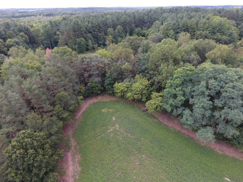 Garfield Road Parma, MI 49269 - Photo 2 of 5 DJI_0044