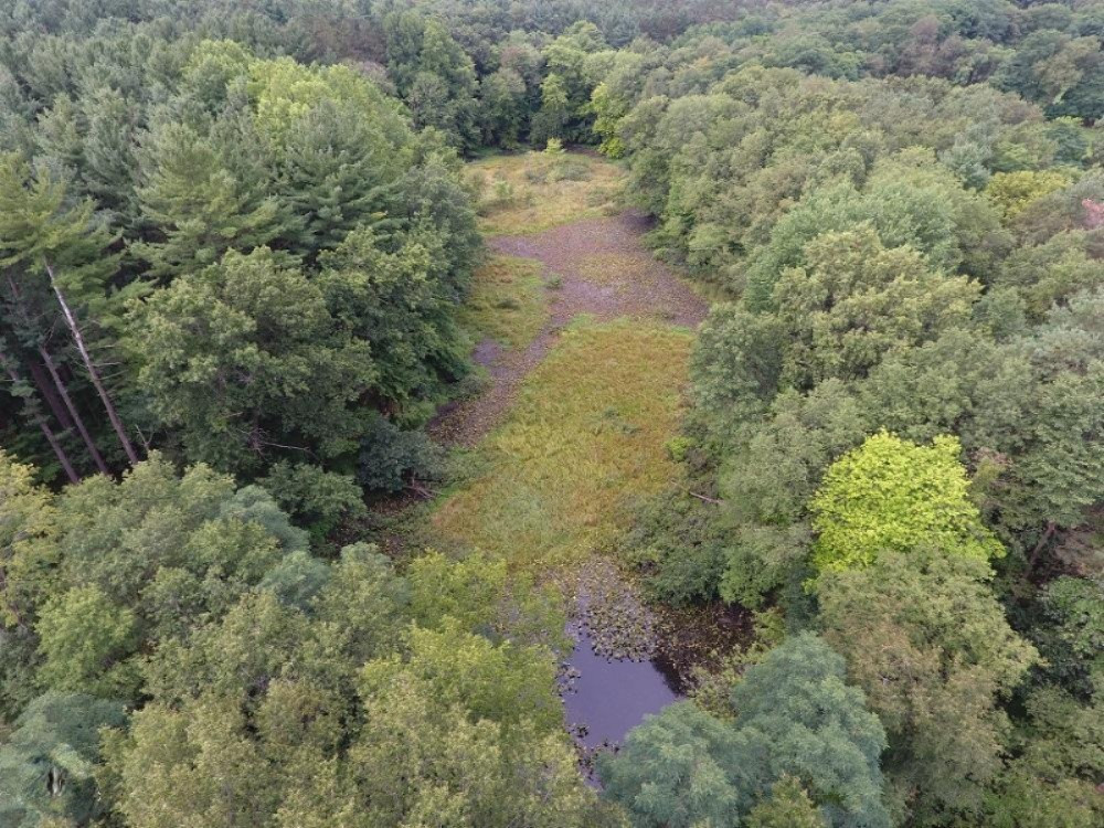 Garfield Road Parma, MI 49269 - Photo 3 of 5 DJI_0045