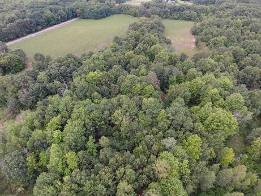 Garfield Road Parma, MI 49269 - Photo 5 of 5 DJI_0035