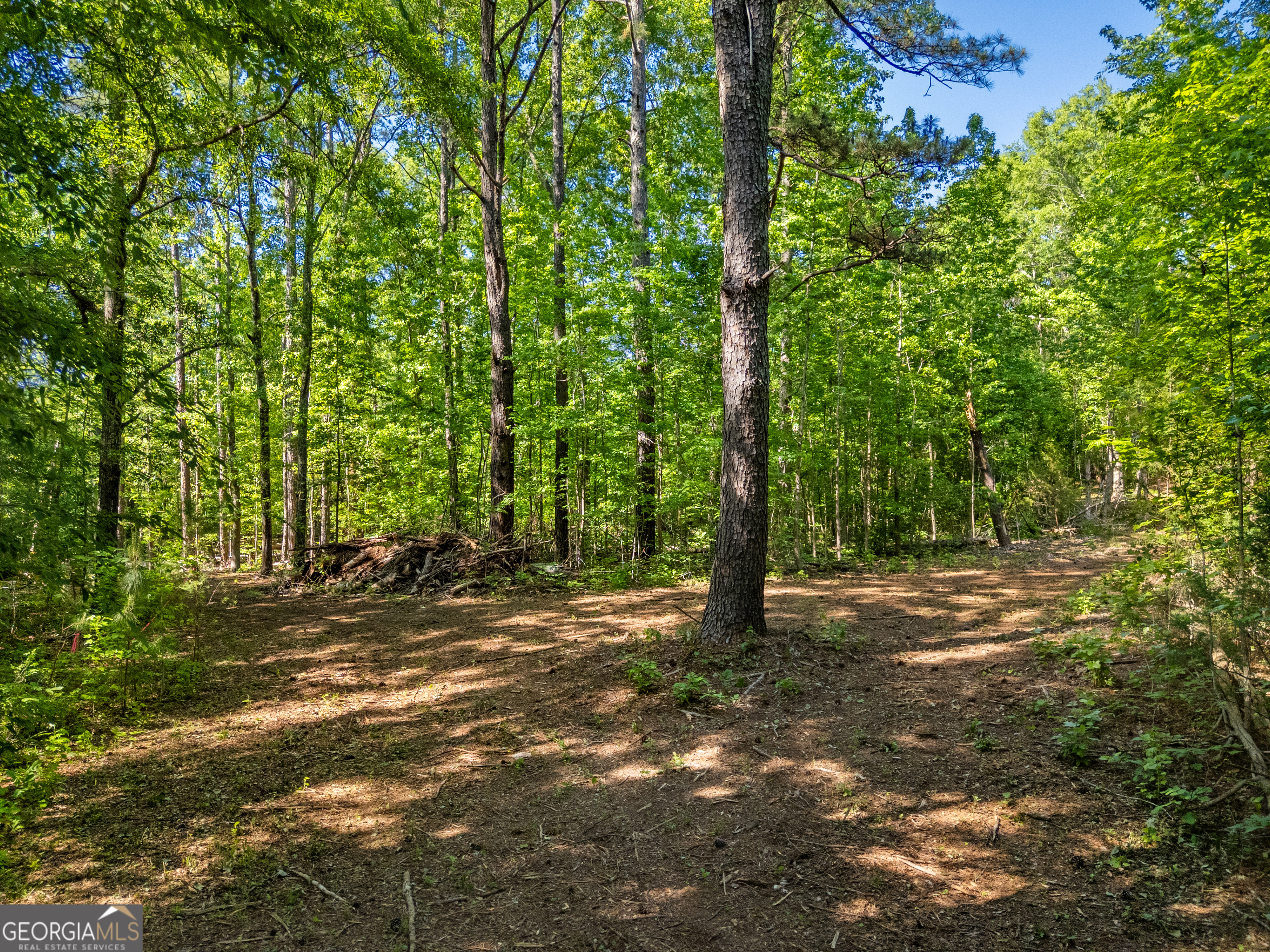 0 Oak Road Jenkinsburg, GA 30234 - Photo 12 of 18 Gallery Image 12