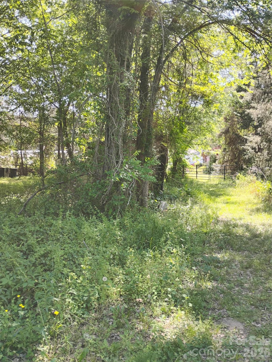 2950 Irish Potato Road Concord, NC 28025 - Photo 9 of 13