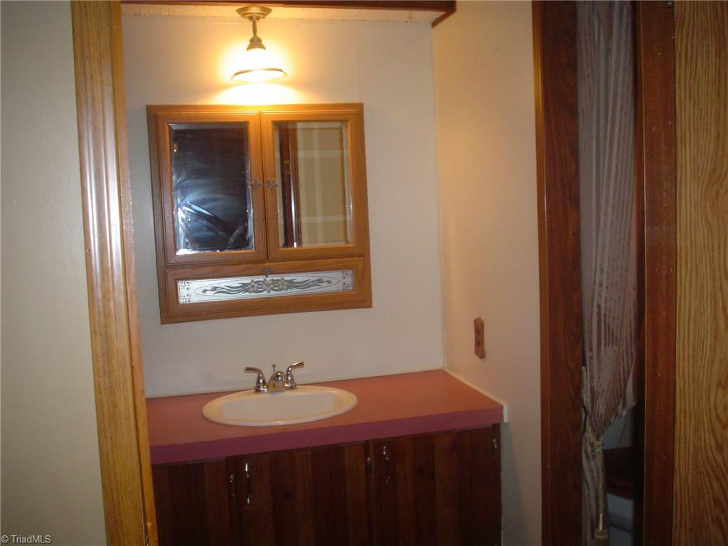7107 Downsfield Road Randleman, NC 27317 - Photo 7 of 11 Master Bath