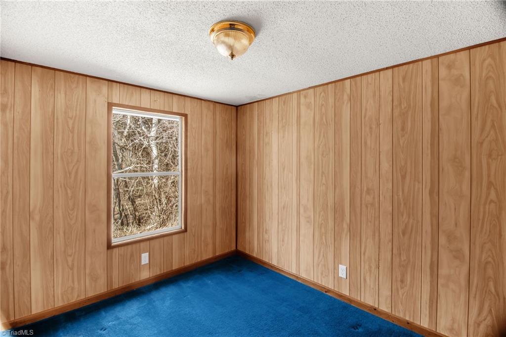 3859 Volunteer Road Pinnacle, NC 27043 - Photo 19 of 29