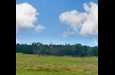 18 Sd 71600 Rocksprings, TX 78880 - Photo 14 of 28