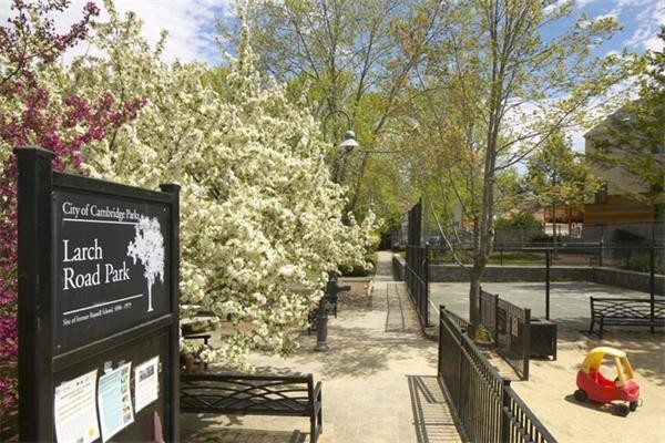 74 Larch Road Cambridge, MA 02138 - Photo 11 of 12 a outdoor view of a building
