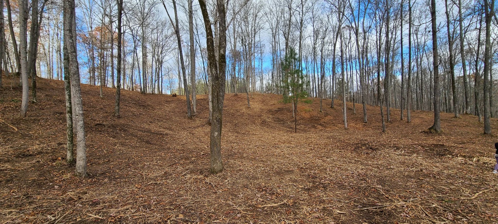 19 Allen Bend Road Smithville, TN 37166 - Photo 8 of 16 Gallery Image 8