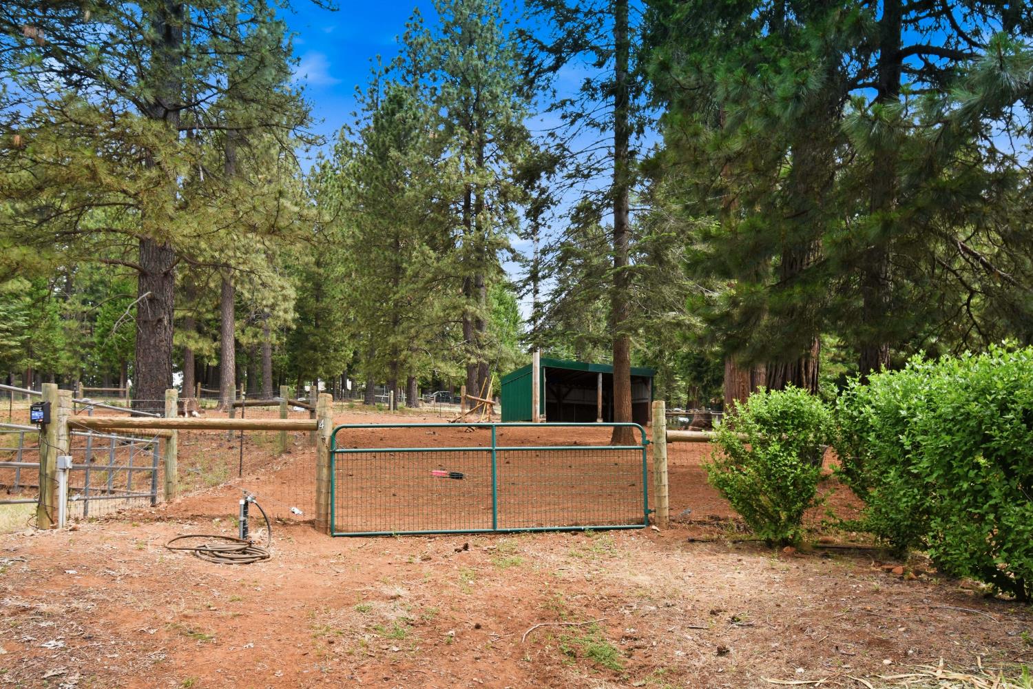 29070 Ridge View Road Foresthill, CA 95631 - Photo 43 of 66