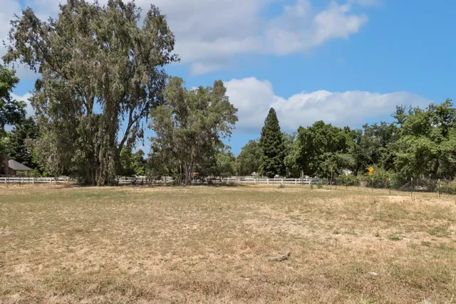 a view of empty field with trees