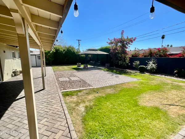 a swimming pool with potted plants