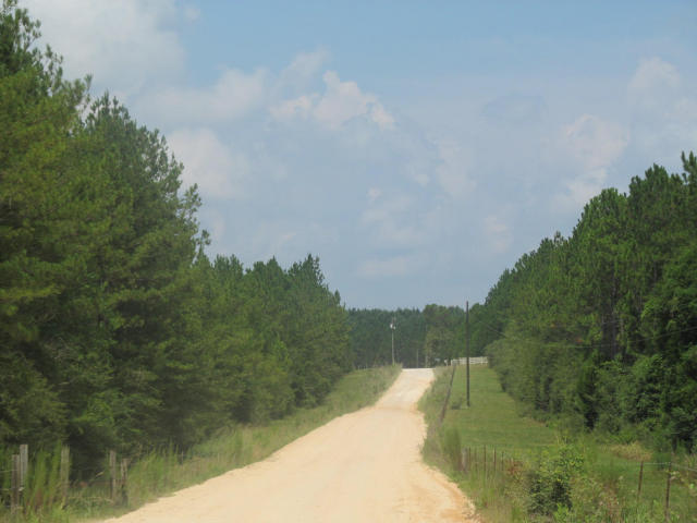 294-ac West Indian Creek Ranch Road DeFuniak Springs, FL 32435 - Photo 1 of 24 20140805194258459025000000-o