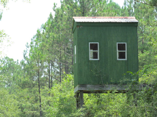 294-ac West Indian Creek Ranch Road DeFuniak Springs, FL 32435 - Photo 18 of 24 20140805195011926294000000-o