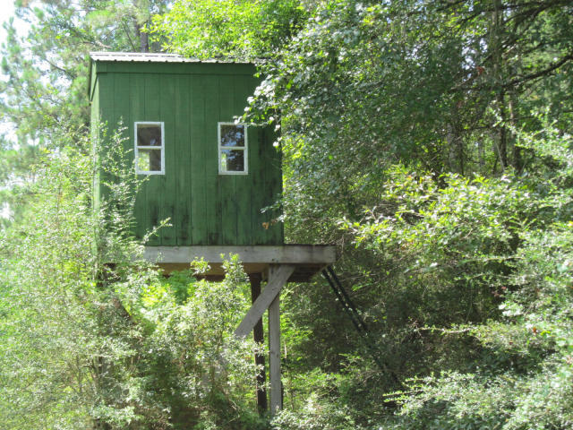 294-ac West Indian Creek Ranch Road DeFuniak Springs, FL 32435 - Photo 19 of 24 20140805195037823102000000-o
