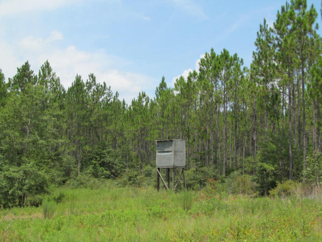 294-ac West Indian Creek Ranch Road DeFuniak Springs, FL 32435 - Photo 20 of 24 20140805195059874256000000-o