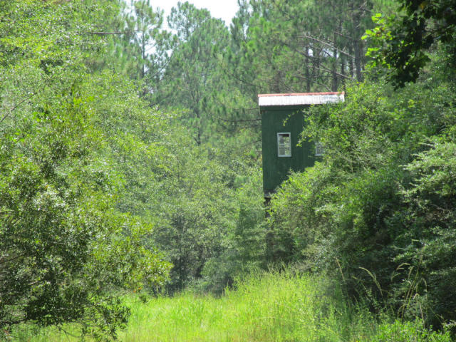 294-ac West Indian Creek Ranch Road DeFuniak Springs, FL 32435 - Photo 21 of 24 20140805195128157909000000-o