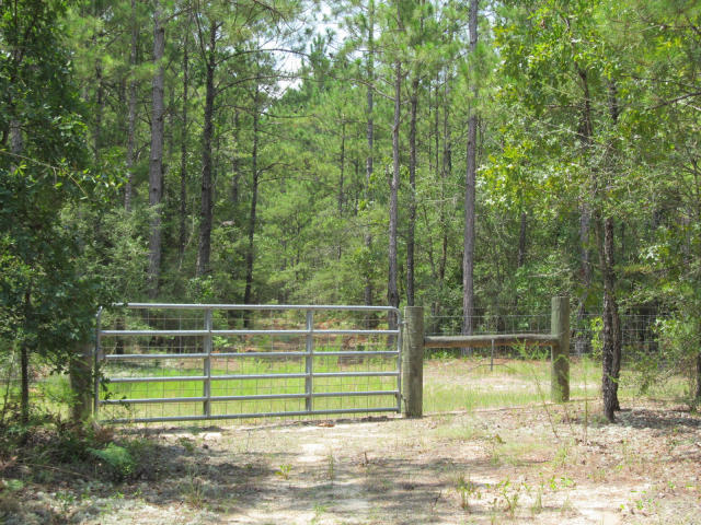 294-ac West Indian Creek Ranch Road DeFuniak Springs, FL 32435 - Photo 3 of 24 20140805194346920813000000-o