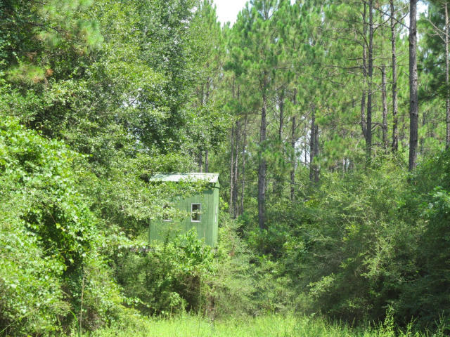 294-ac West Indian Creek Ranch Road DeFuniak Springs, FL 32435 - Photo 8 of 24 20140805194545351565000000-o