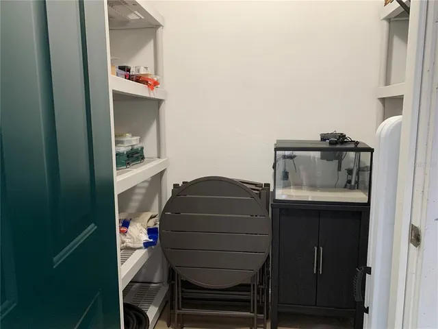 a view of a yard with plants and trees