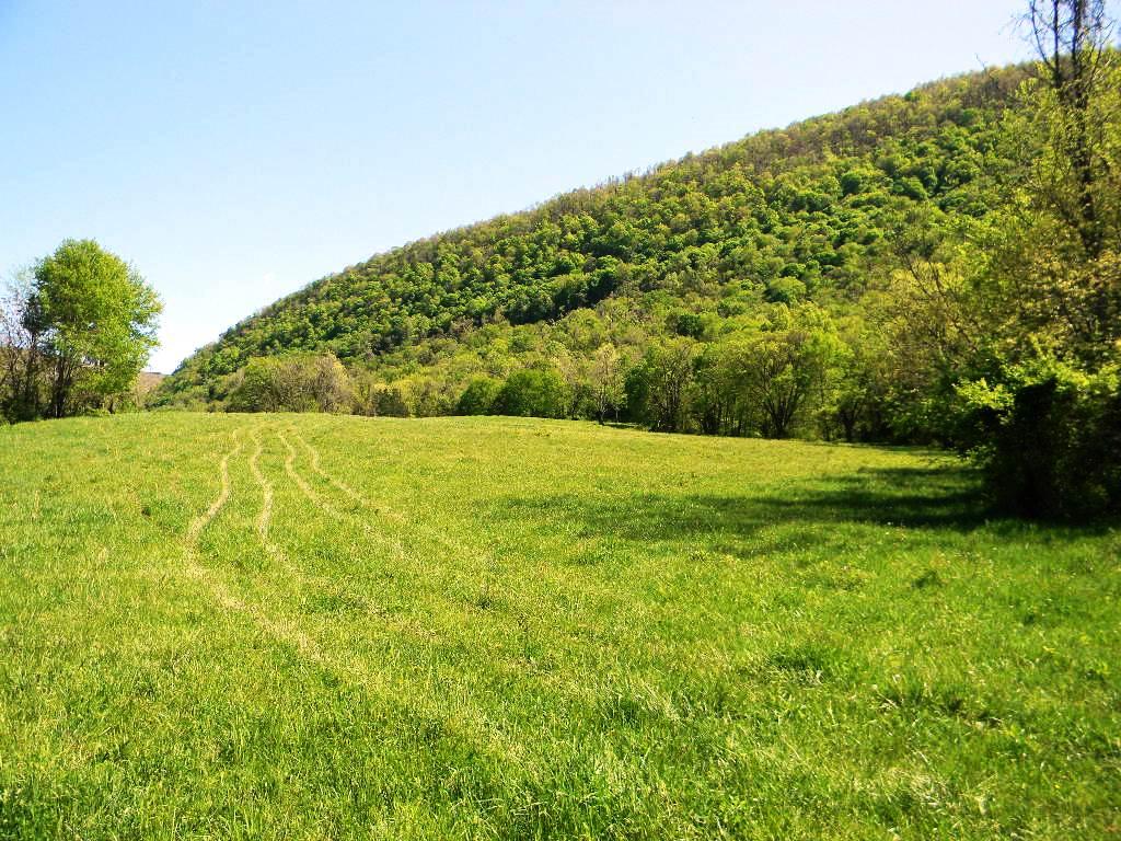Lowes Gap Road Pikeville, TN 37367 - Photo 23 of 27 DSCN8137