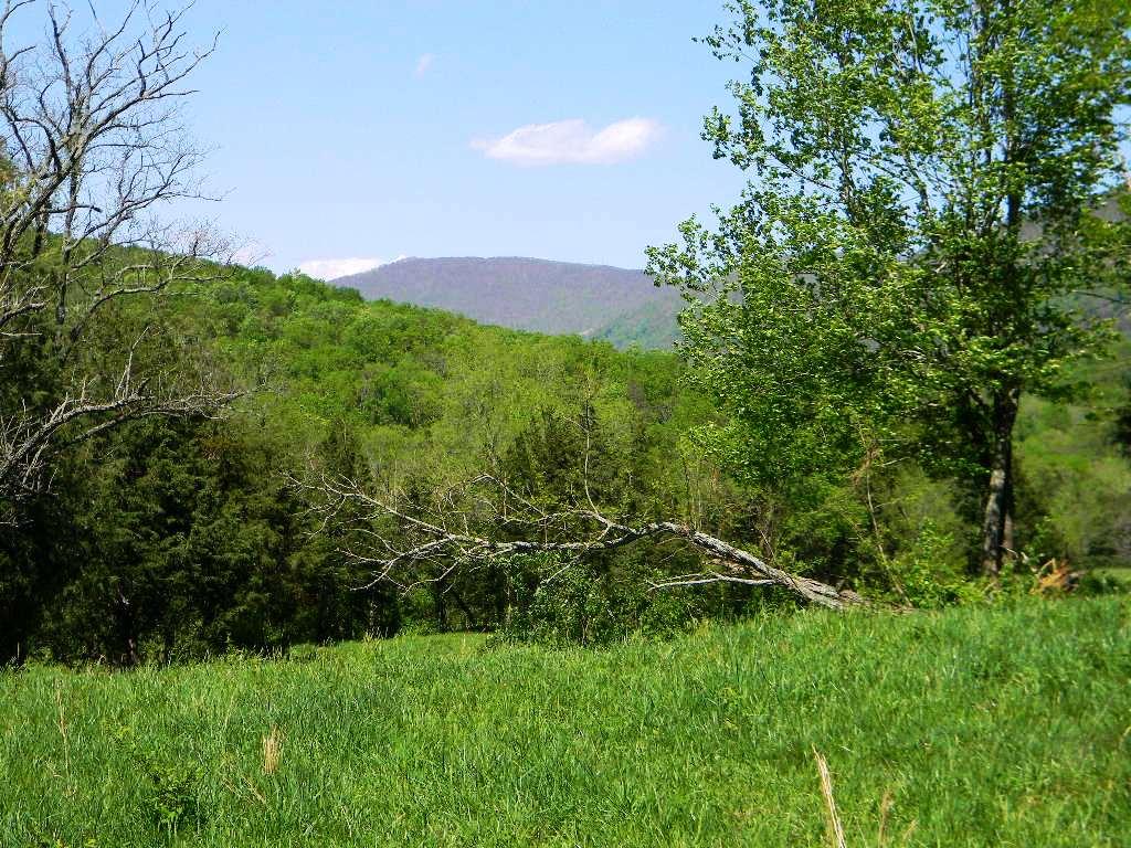 Lowes Gap Road Pikeville, TN 37367 - Photo 24 of 27 DSCN8138
