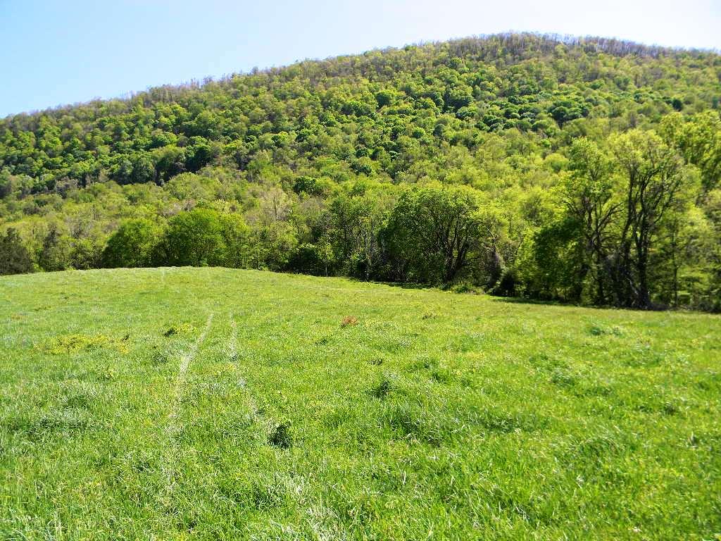Lowes Gap Road Pikeville, TN 37367 - Photo 25 of 27 DSCN8140