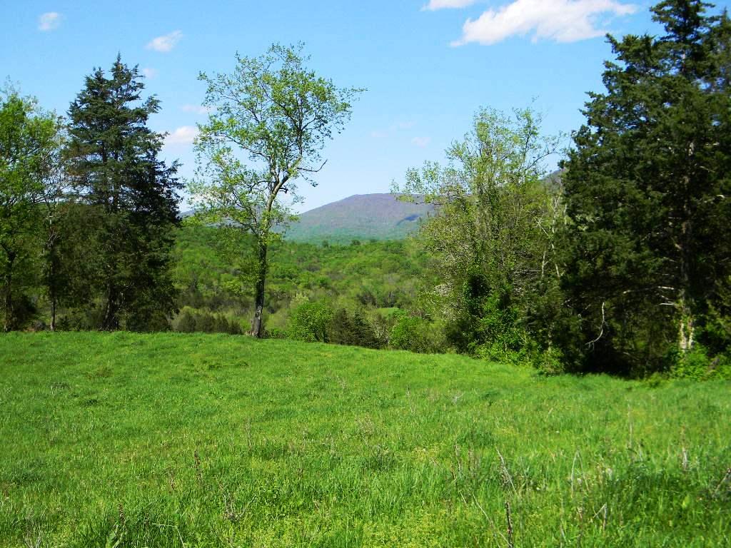 Lowes Gap Road Pikeville, TN 37367 - Photo 26 of 27 DSCN8141