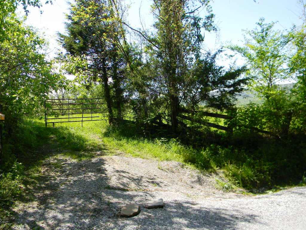 Lowes Gap Road Pikeville, TN 37367 - Photo 27 of 27 DSCN8143