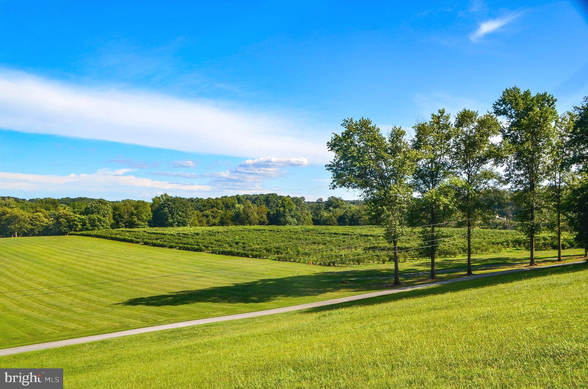 547 Heffner Road Red Lion, PA 17356 - Photo 21 of 75 Gallery Image 21