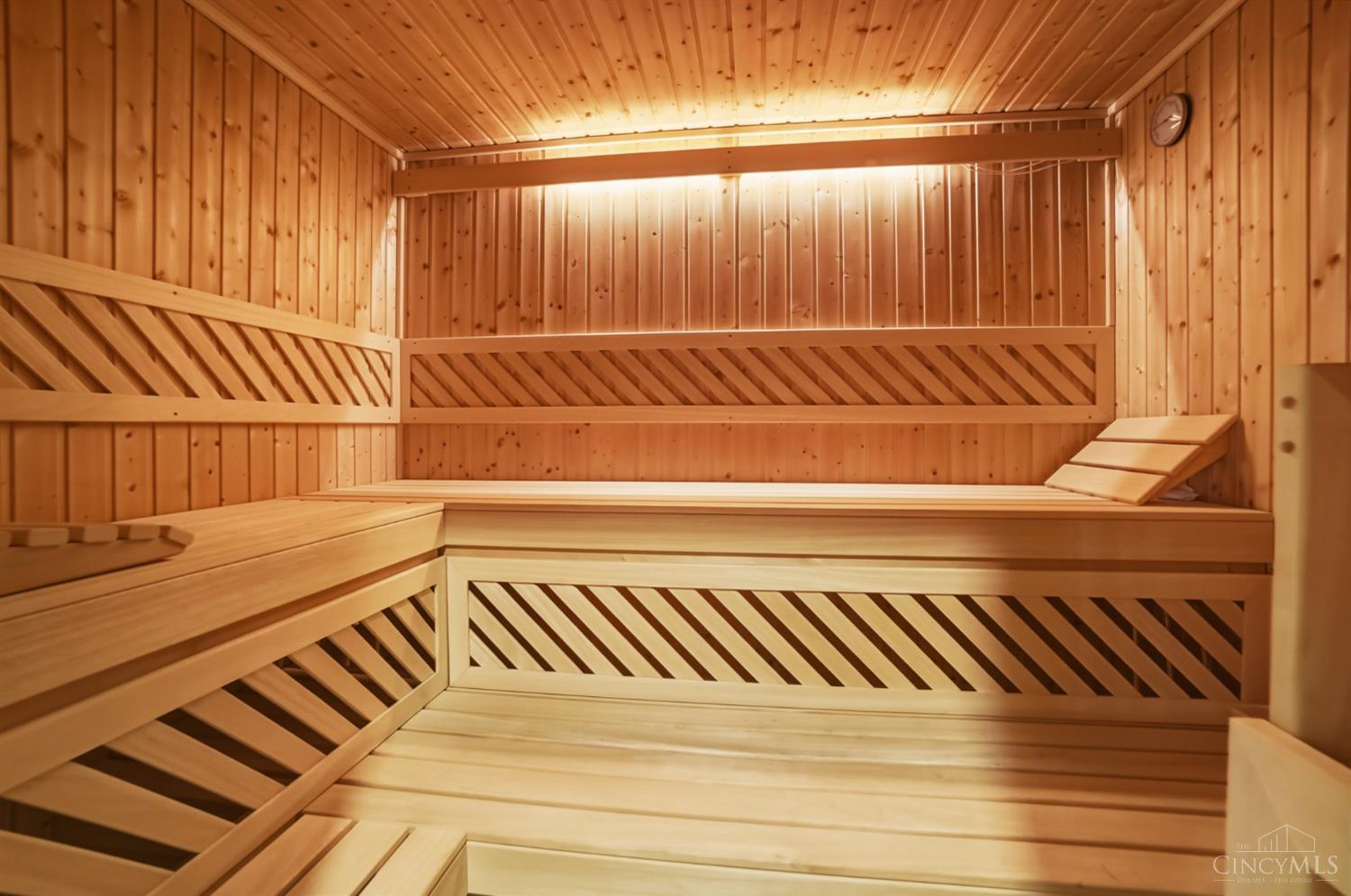 1054 Observatory Point Maineville, OH 45039 - Photo 60 of 82 Your own multi-person sauna.