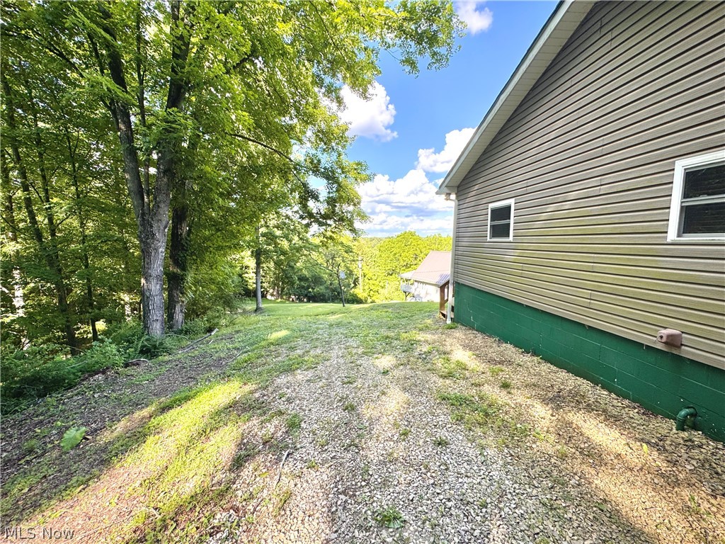 70906 Reynolds Road Piedmont, OH 43983 - Photo 22 of 33 Side view driveway
