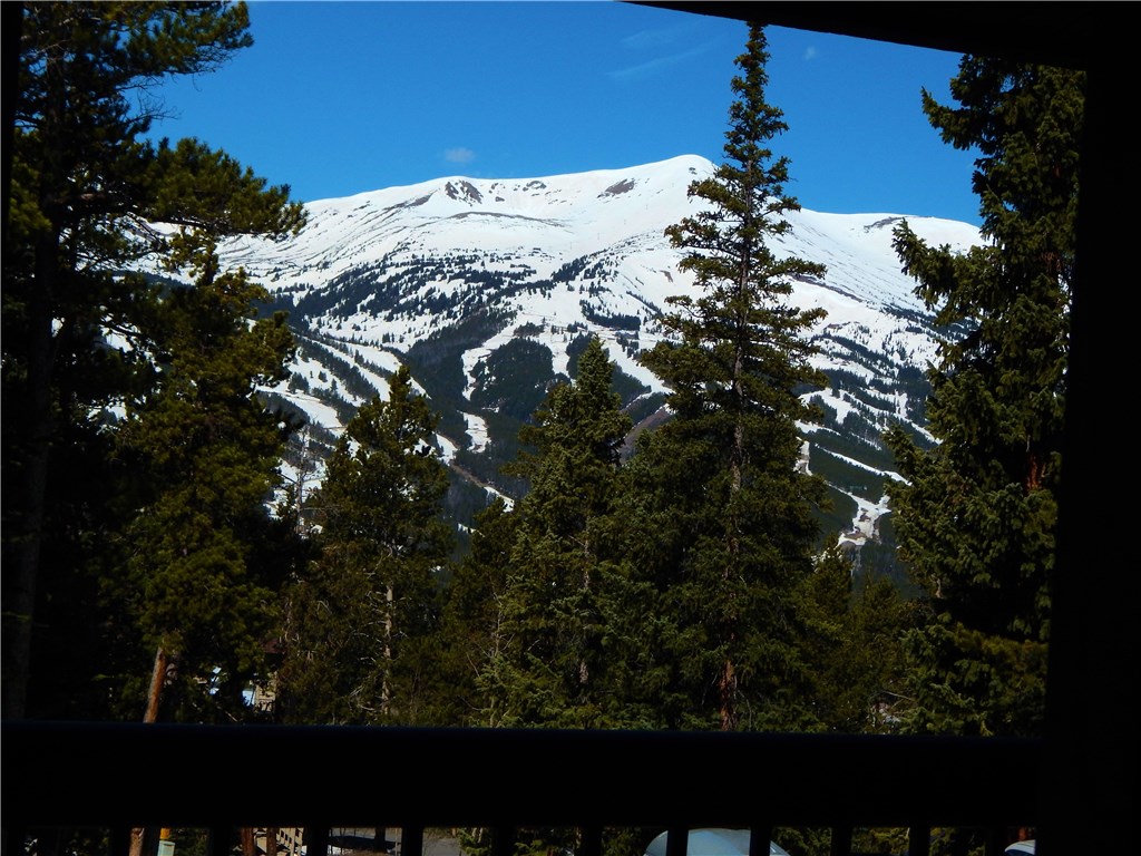 57 Fuller Placer Road, Unit 1B Breckenridge, CO 80424 - Photo 2 of 19 a view of a tree